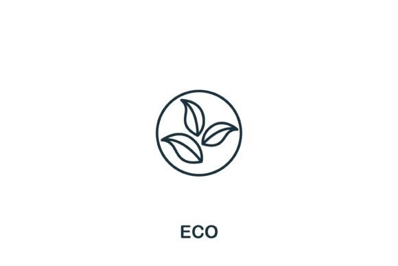 Eco Icon Review